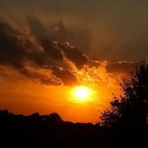 Meet your Posher, Sandy